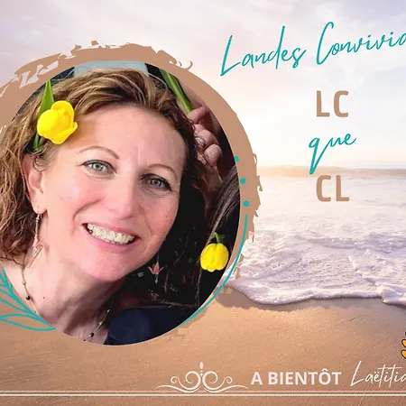 Landes Conviviales Maison Entiere, 40 Holiday home